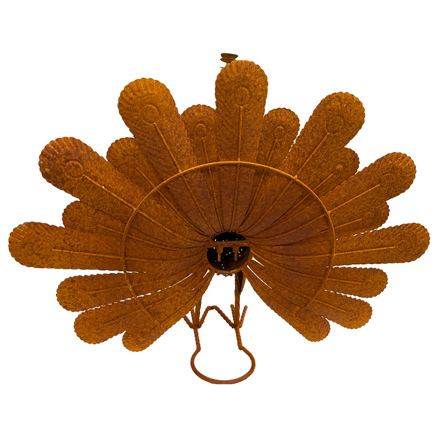 Rust Proud Standing Peacock Statue 63x51cm - Image 4