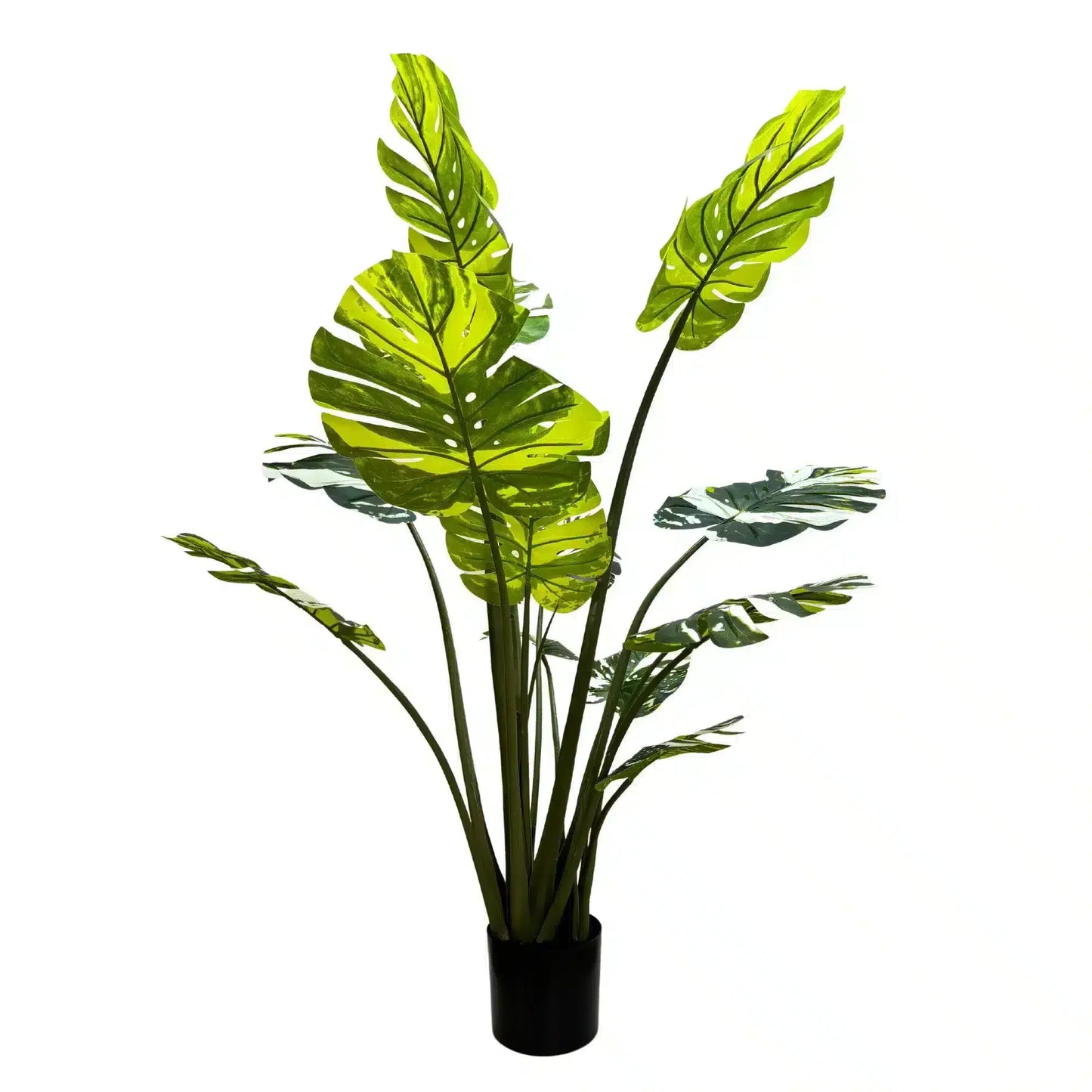 Premium Artificial Potted Monstera Albo 150cm - Image 3