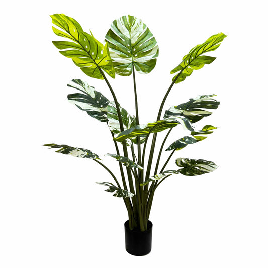Premium Artificial Potted Monstera Albo 150cm - Image 2