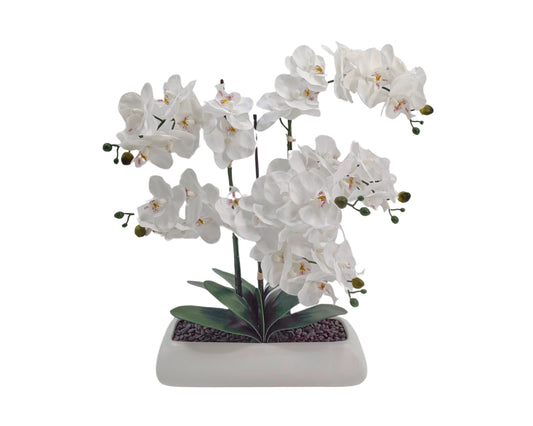 White Orchid In Rectangle Ceramic Pot 61cm