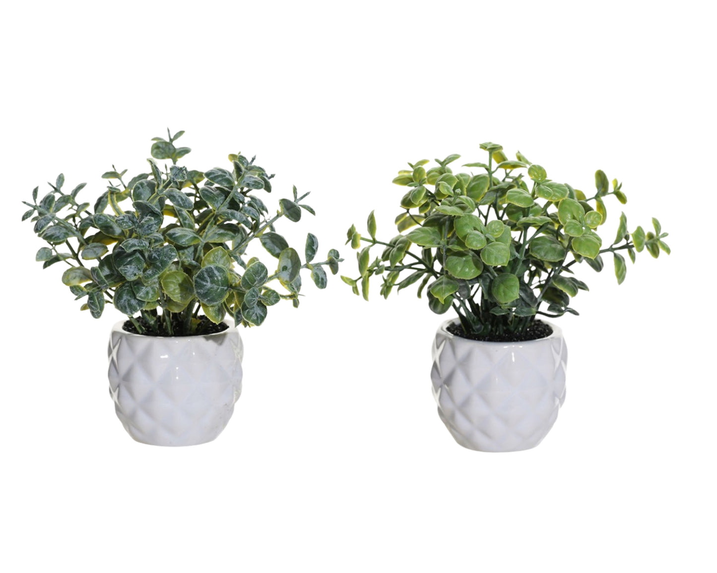Set 2 Artificial Mini Greenery in Ceramic Pot 13cm
