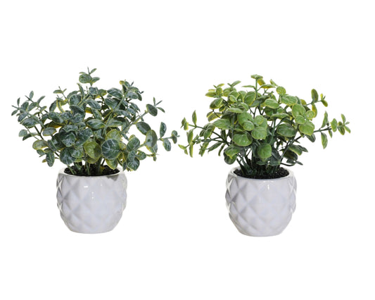 Set 2 Artificial Mini Greenery in Ceramic Pot 13cm
