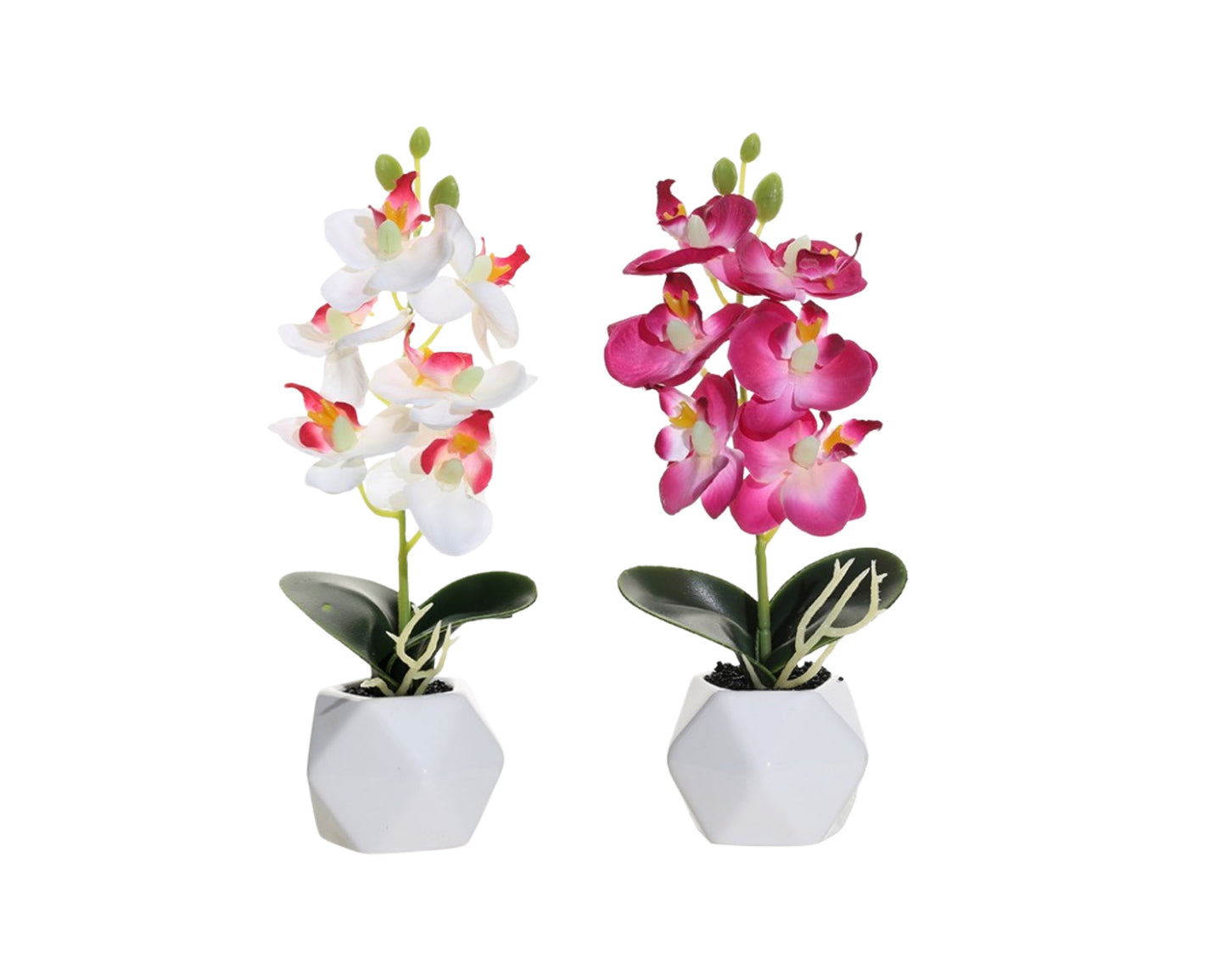 Set 2 Artificial Orchid in Ceramic Pot 21cm
