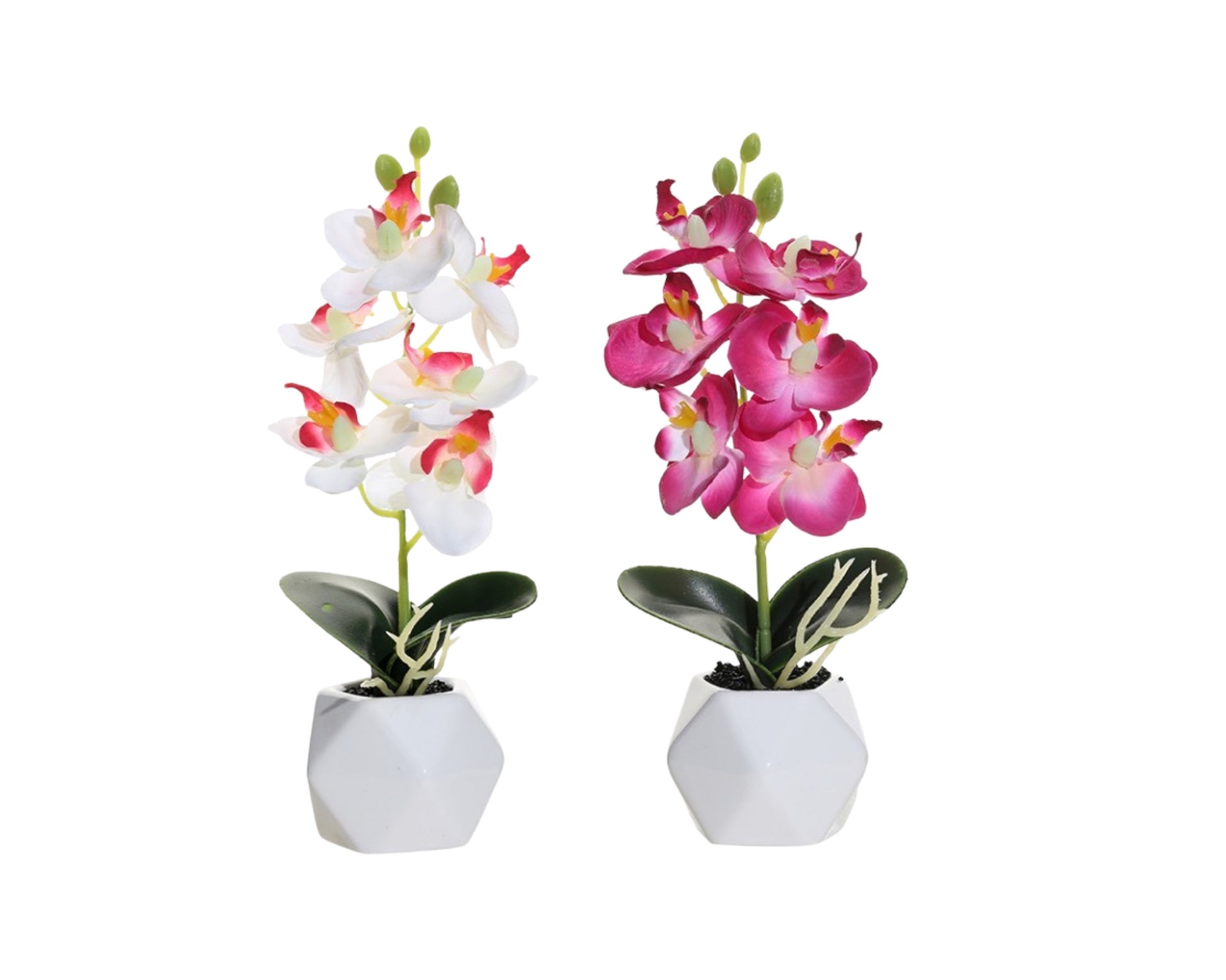 Set 2 Artificial Orchid in Ceramic Pot 21cm