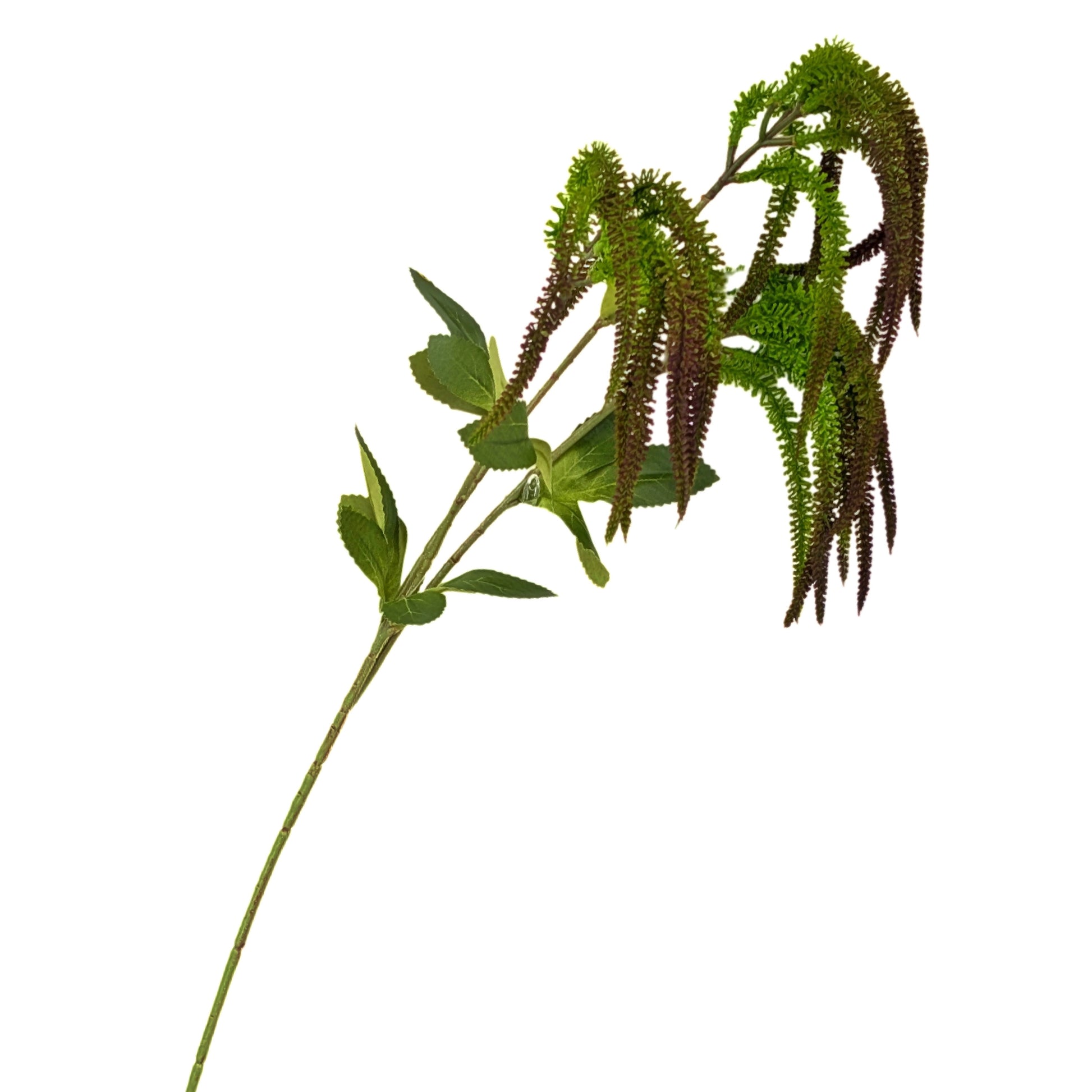 bulk 24 Artificial Amaranthus Stem 75cm