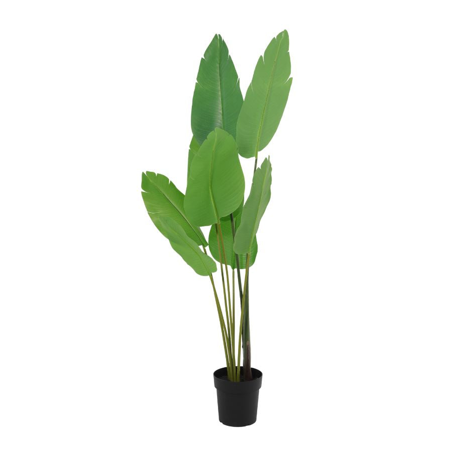 Potted Artificial Strelitzia Bird Of Paradise Tree 153cm