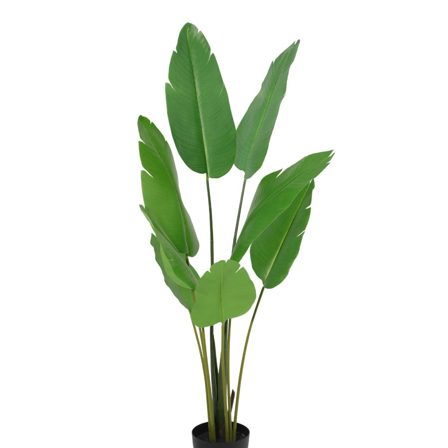 Potted Artificial Strelitzia Bird Of Paradise Tree 153cm - Image 3