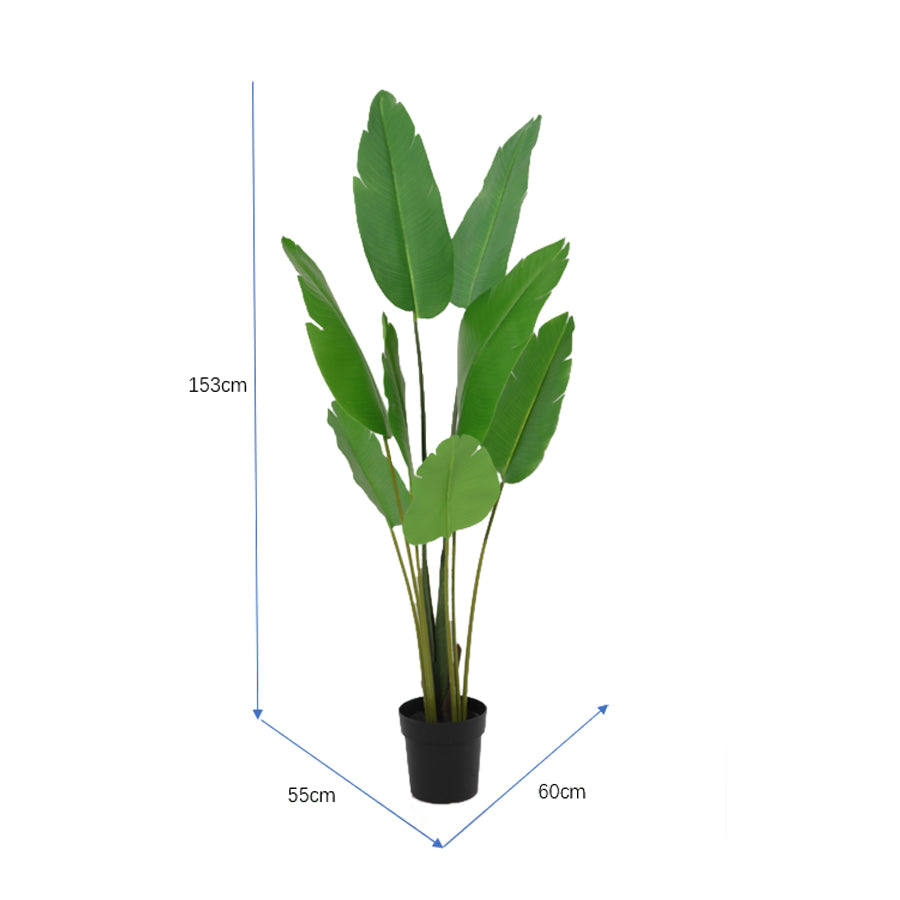 Potted Artificial Strelitzia Bird Of Paradise Tree 153cm - Image 4