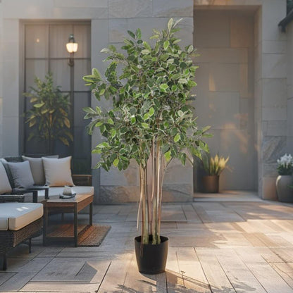 Potted Artificial Variegated Ficus Tree 168cm - Image 2