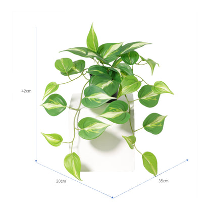 Potted Artificial Hanging Variegated Pothos 42cm - Image 5