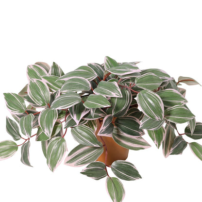 Potted Artificial Wandering Dude Plant 40cm - Image 2
