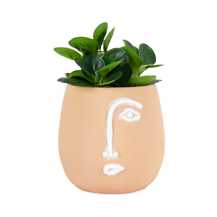 Pablo Coral Pot Cement planter w Hole & Plug 20cm