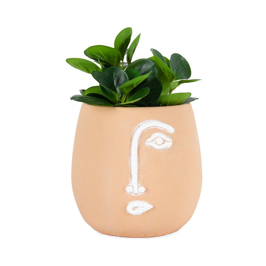 Pablo Coral Pot Cement planter w Hole & Plug 20cm
