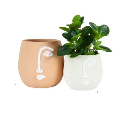 Pablo Coral Pot Cement planter w Hole & Plug 20cm - Image 4