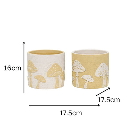 Set 2 Asst Mushroom Planters w Hole + Plug 17cm - Image 5