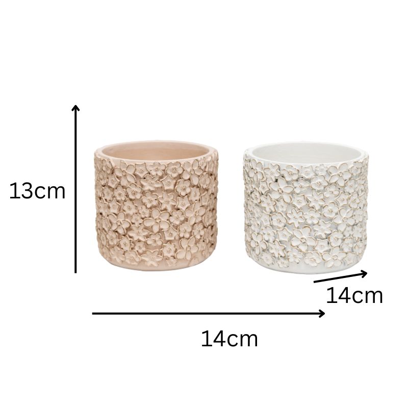 Set 2 Asst Flower Embossed Planters w Hole + Plug 18cm - Image 4