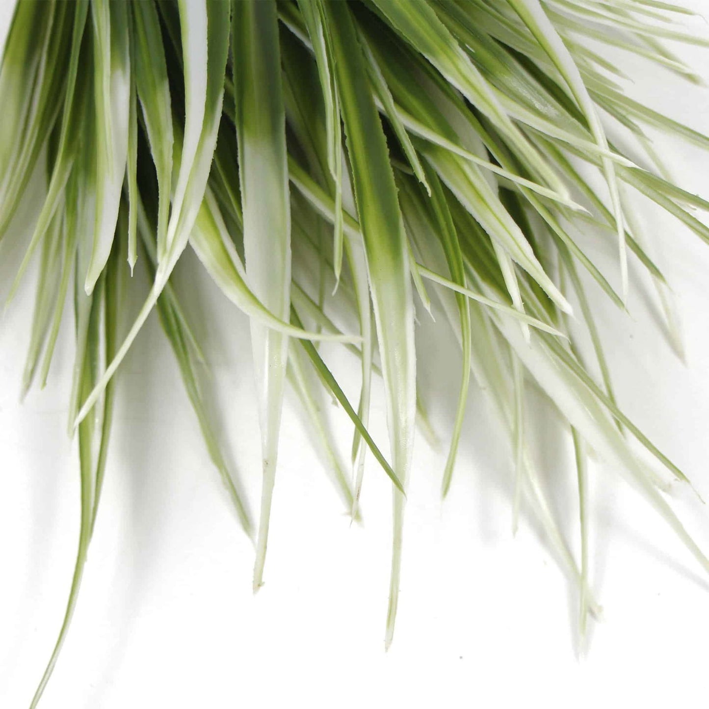 White Tipped Grass Stem UV Resistant 35cm - Image 4