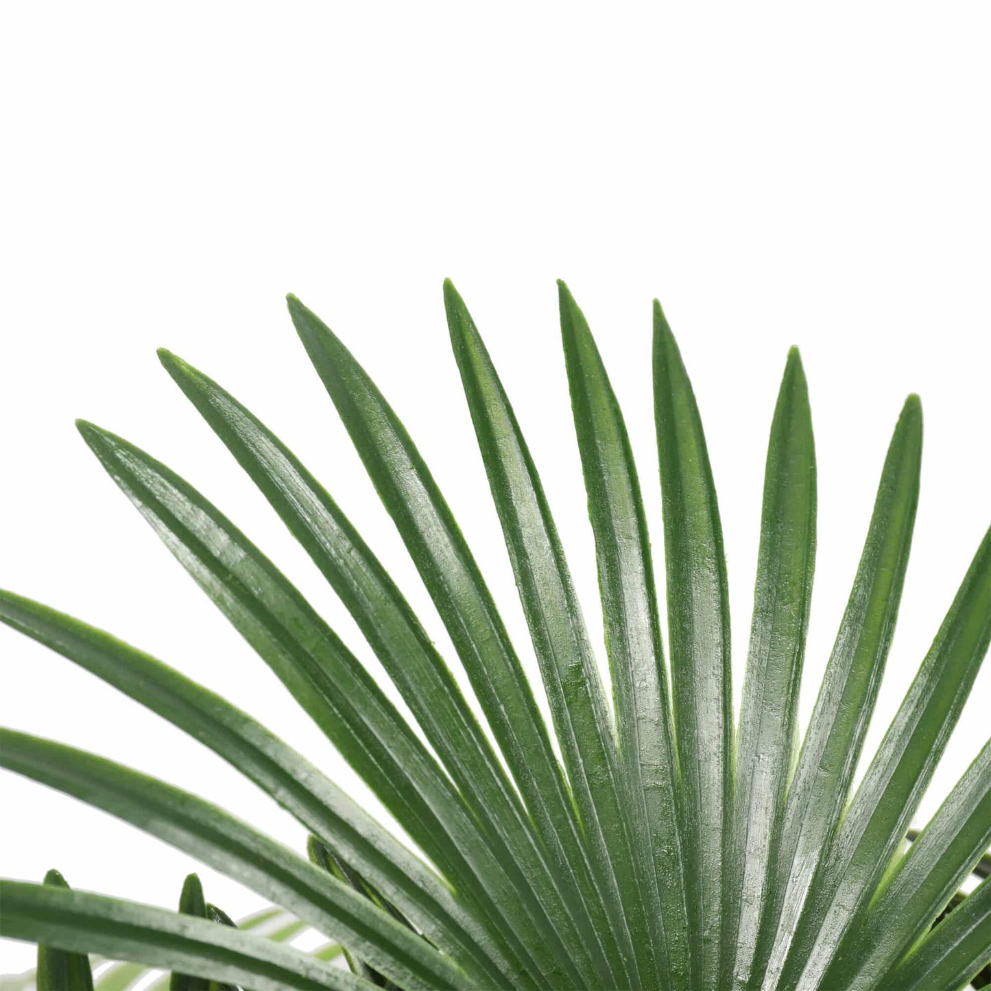Artificial Wide Leaf Fan Palm Tree 90cm - Image 3