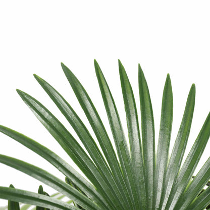 Artificial Wide Leaf Fan Palm Tree 90cm - Image 3