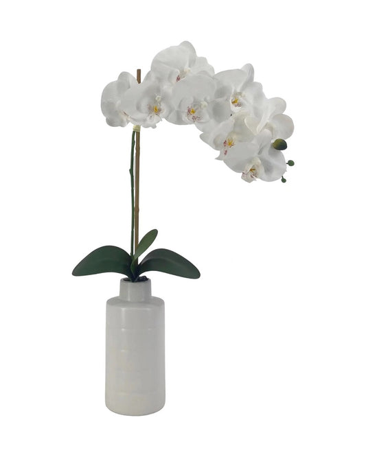 Artificial Orchid in Ceramic Pot 55cm