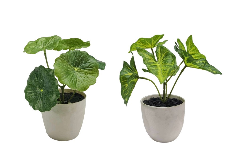 Set 2 Artificial Taro & Lotus Plant 15cm