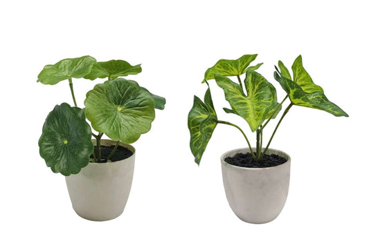 Set 2 Artificial Taro & Lotus Plant 15cm