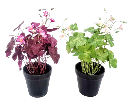 Set 2 Artificial Oxalis Triangularis Plant 35cm