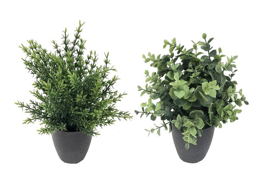 Set 2 Artificial Grass in Pot 25cm
