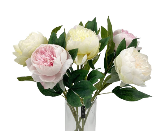 bulk 24 Artificial Single Stem Peony 66cm