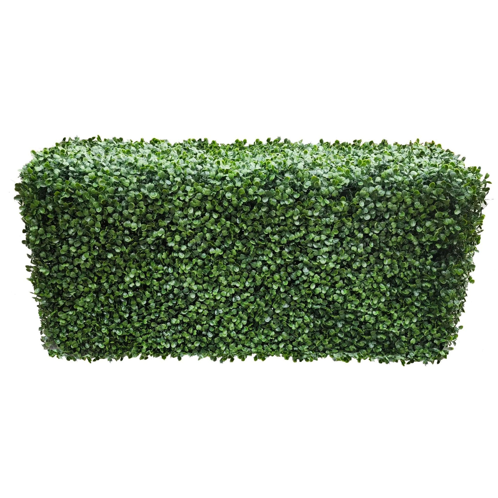 Portable Boxwood Hedge UV Resistant 100cm Long x 50cm High - Image 3