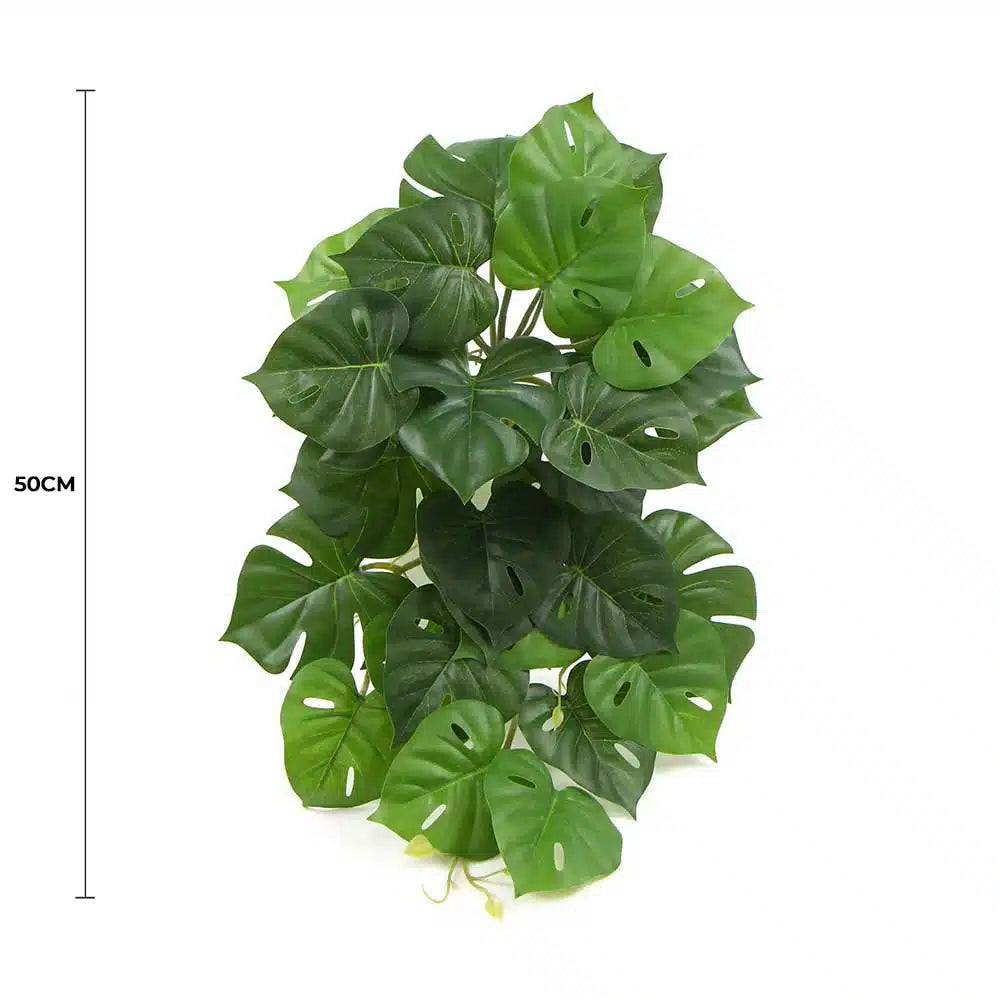 Artificial Monstera Adansonii Plant 50cm - Image 2