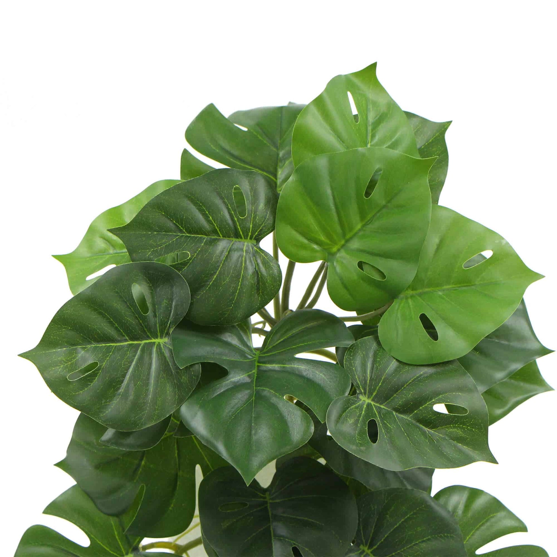 Artificial Monstera Adansonii Plant 50cm - Image 3