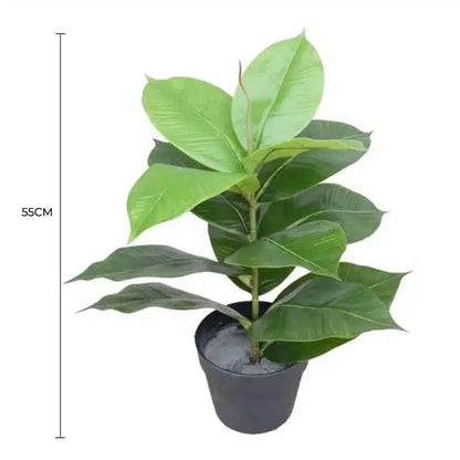 Artificial Potted Rubber Plant 55cm - Image 2