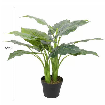 Artificial Potted Taro Plant / Elephant Ear 70cm - Image 2