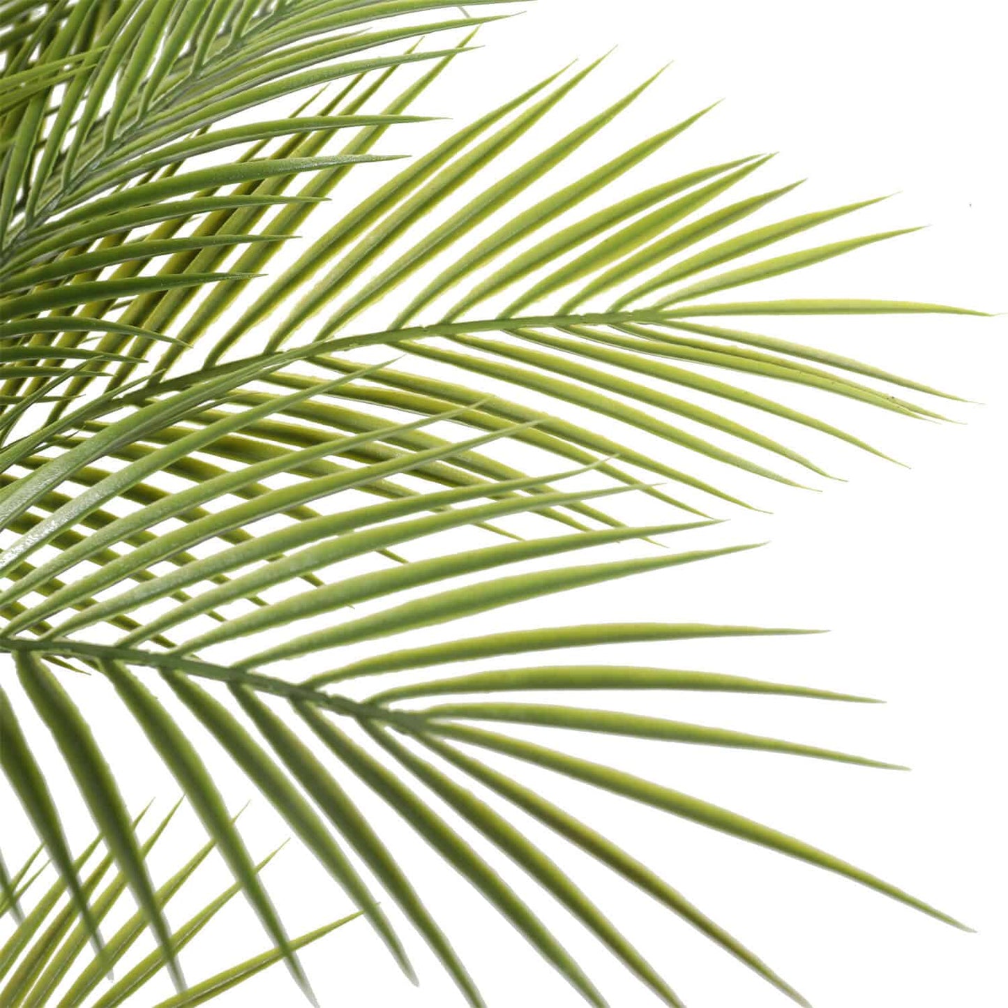 Artificial Parlour Palm Tree 180cm Multi Trunk UV Resistant - Image 3