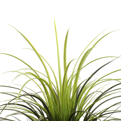 Potted Artificial Long Grass (Yucca Grass) 115cm UV Resistant - Image 3