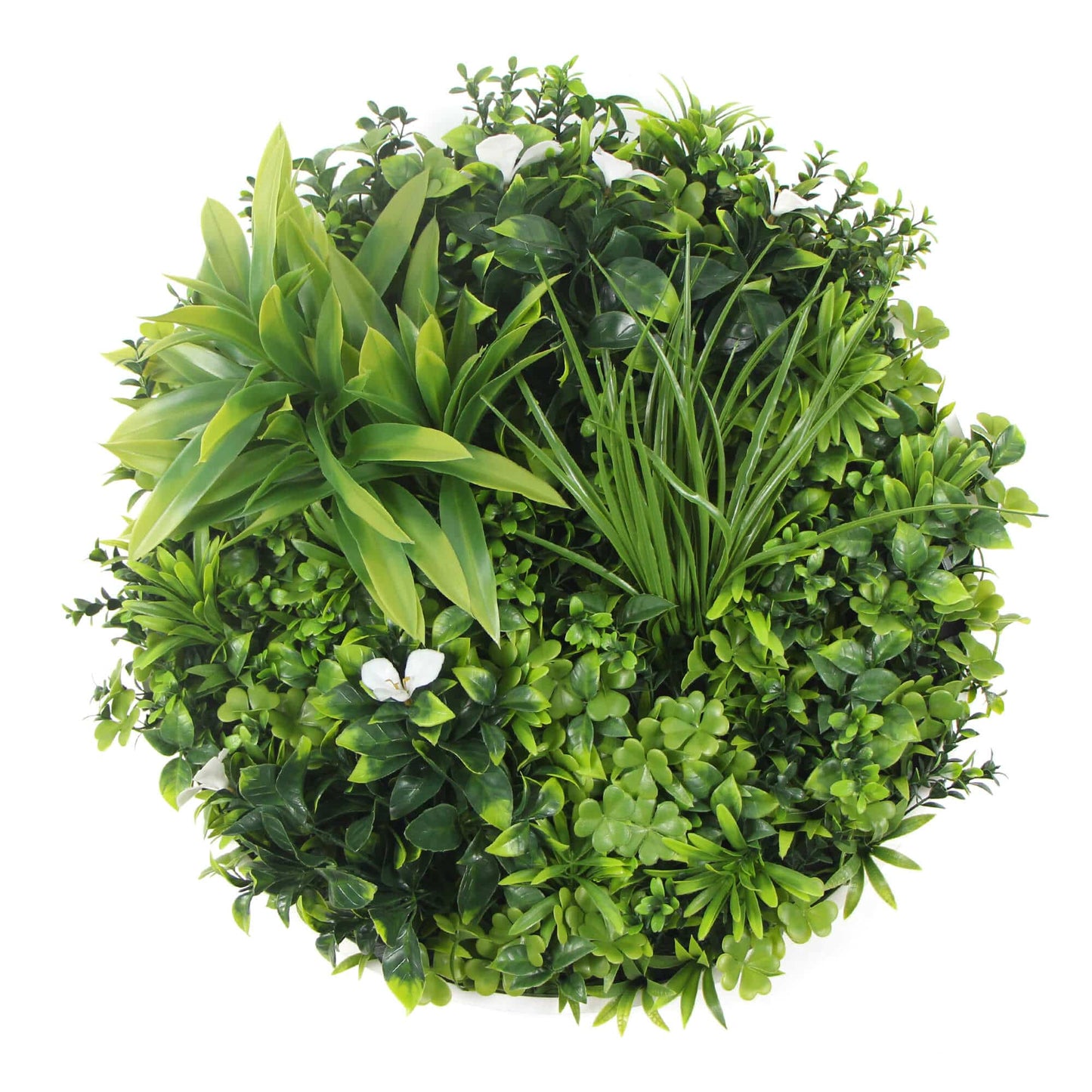 Two 50cm and One 75cm Flowering White Disc Bundle - Image 3