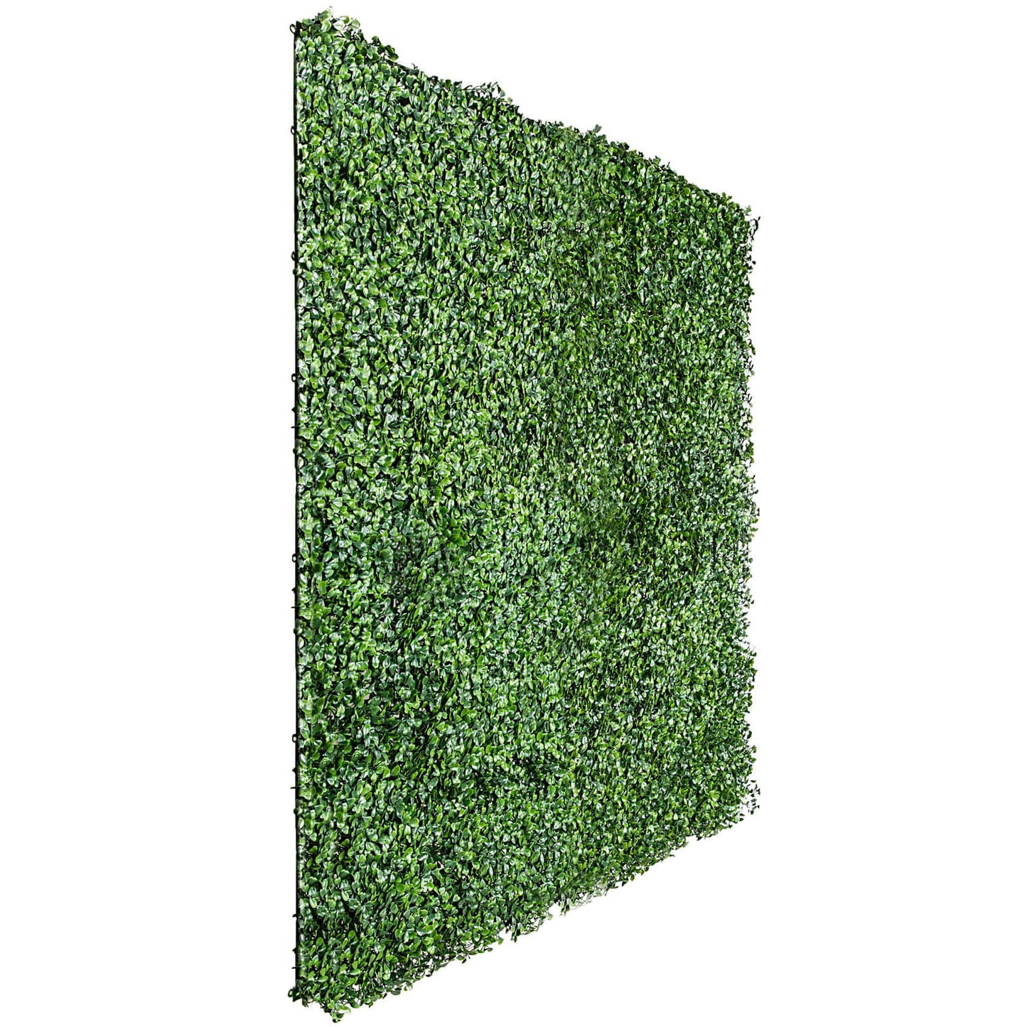 Boxwood Hedge Screen Green Wall Panel UV Resistant 100cm x 100cm - Image 3