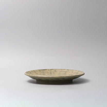 Thick Edge Plate 25cm Washed Fern - Image 4
