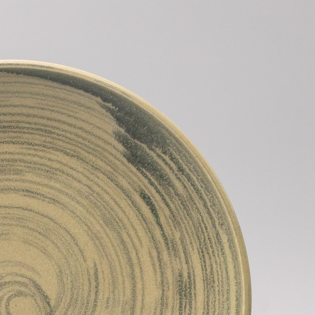 Dinner Plate 26cm Washed Fern - Image 2