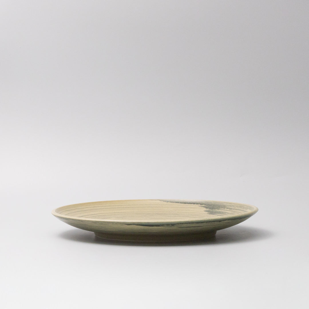 Dinner Plate 26cm Washed Fern - Image 3