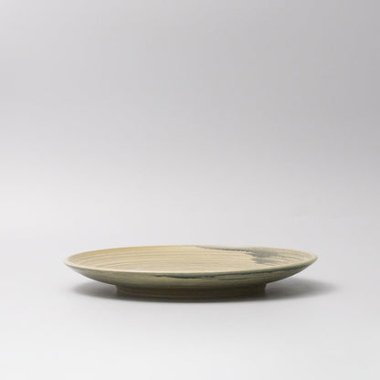 Dinner Plate 26cm Washed Fern - Image 3
