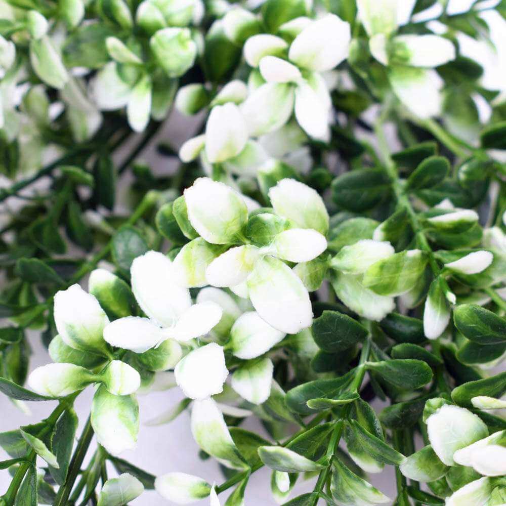 White Tipped Money Leaf Stem UV Resistant 32cm - Image 4