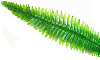 Artificial Boston Hanging Fern 102cm - Image 5
