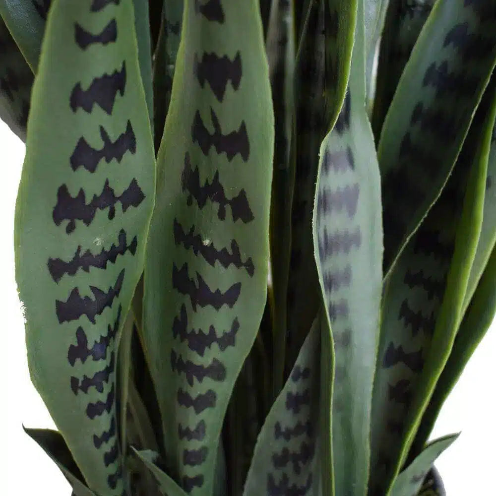 Artificial Snake Plant Sansevieria UV Resistant 90cm - Image 2