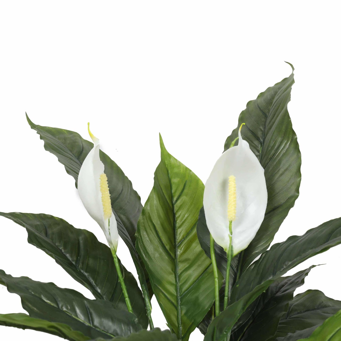 Artificial Spathiphyllum Peace Lily Plant with White Flowers 60cm - Image 3