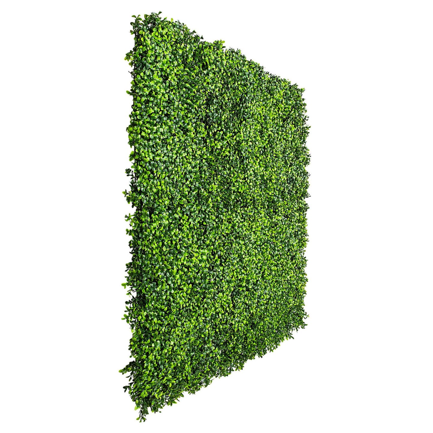 Luxury Deluxe Buxus (Bright) Hedge Panels UV Resistant 1m X 1m - Image 3