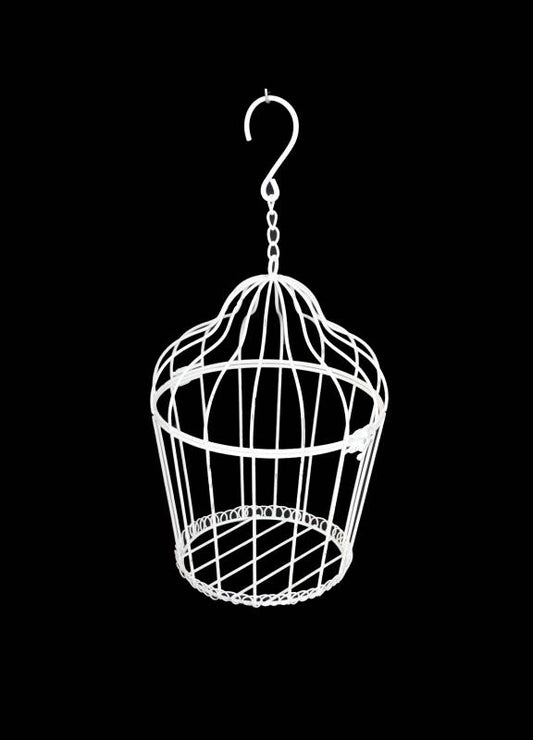 Amber Round Metal Bird Cage 49cm