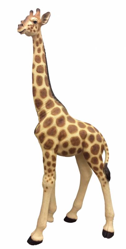 Xlarge Madagascar Giraffe 195cm