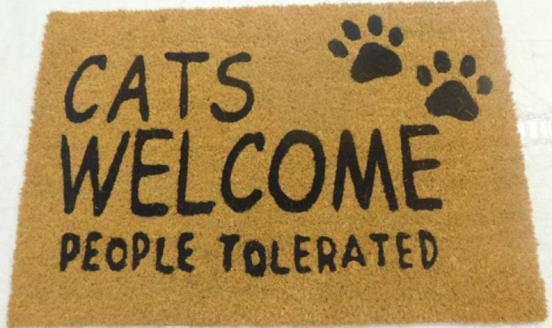 Cats Welcome People Tolerated Doormat